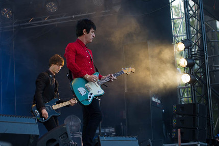 the wombats